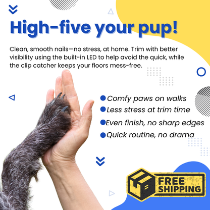 Pet Nail Clipper + Electric Grinder (2-in-1) with LED Light